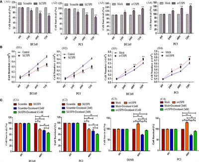 Knockdown of USP8 inhibits prostate cancer cell growth, proliferation, and metastasis and promotes docetaxel’s activity by suppressing the NF-kB signaling pathway